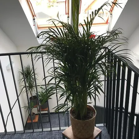 Apartamenty Dolina Jawornika Wisła Eksteriør bilde